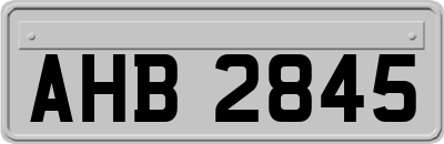 AHB2845