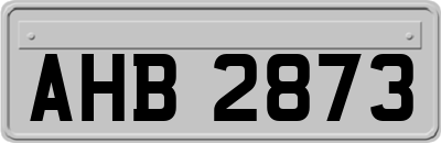 AHB2873