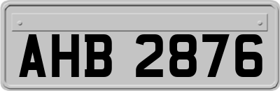 AHB2876