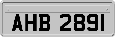 AHB2891