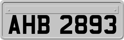 AHB2893