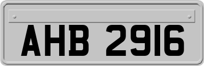 AHB2916