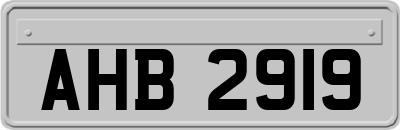 AHB2919