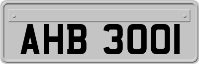 AHB3001