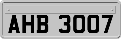AHB3007