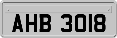 AHB3018