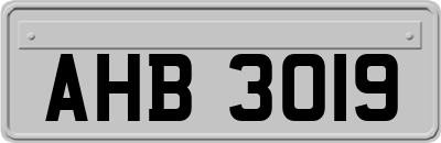 AHB3019