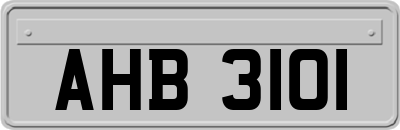 AHB3101