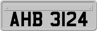 AHB3124