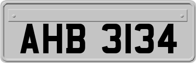 AHB3134