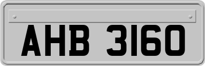 AHB3160