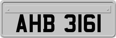 AHB3161