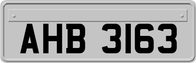 AHB3163