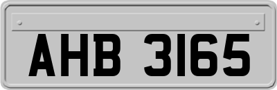 AHB3165