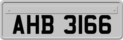 AHB3166