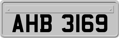 AHB3169