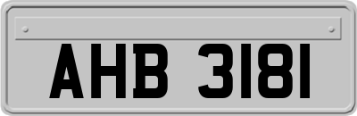 AHB3181