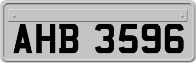 AHB3596