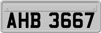 AHB3667