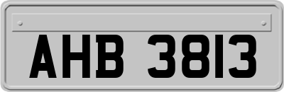 AHB3813