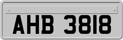 AHB3818