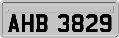 AHB3829