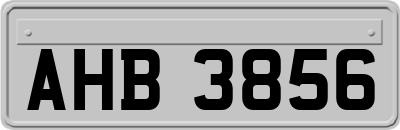 AHB3856
