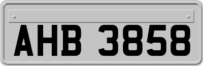 AHB3858