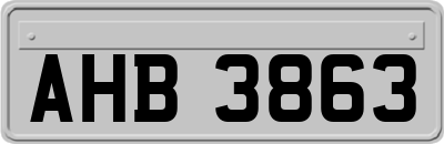 AHB3863