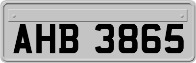 AHB3865