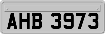 AHB3973