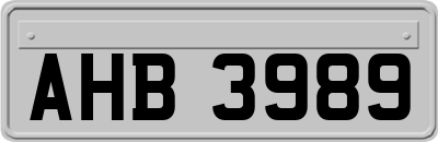 AHB3989