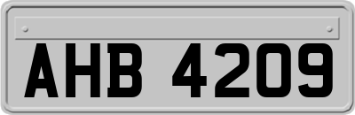 AHB4209