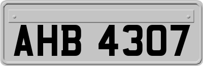 AHB4307
