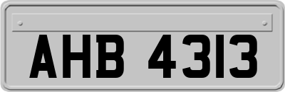 AHB4313