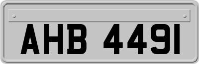 AHB4491