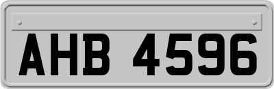 AHB4596