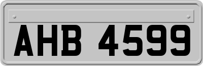 AHB4599