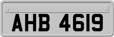 AHB4619