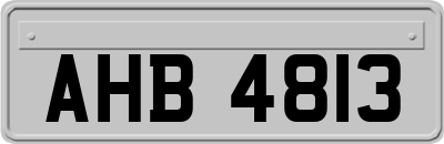 AHB4813