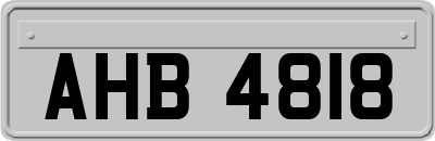 AHB4818