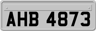 AHB4873