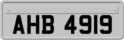 AHB4919