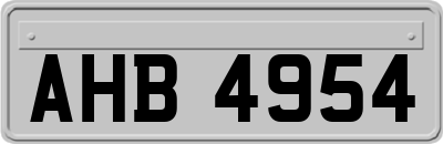 AHB4954