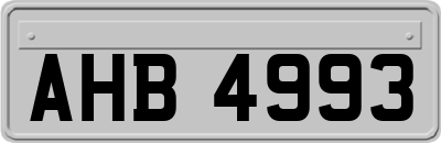 AHB4993