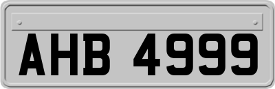 AHB4999