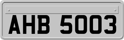 AHB5003
