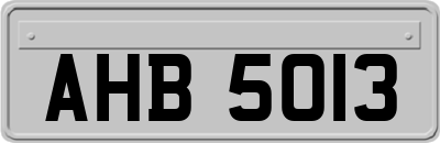 AHB5013
