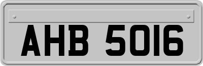 AHB5016