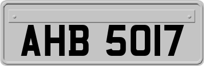 AHB5017